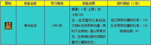 dnf帕拉丁时装上衣选什么技能，dnf帕拉丁时装上衣技能选取什么