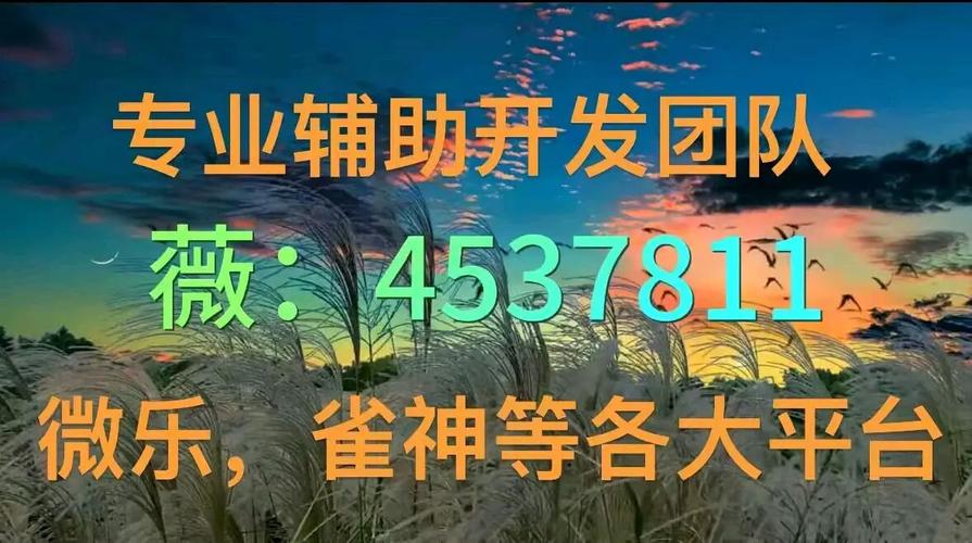 重大通报“微乐江西麻将辅助开挂神器！确实有挂”(内幕揭秘）