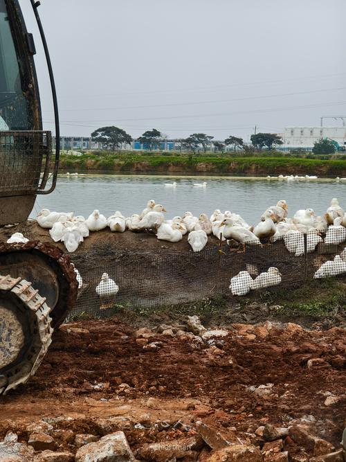 分享实测攻略“浙江游戏大厅有没有挂”（其实可以开挂）-知乎