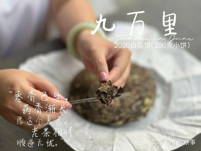 实测分享“微乐河南麻将有没有挂”（果然有开挂猫腻）-知乎