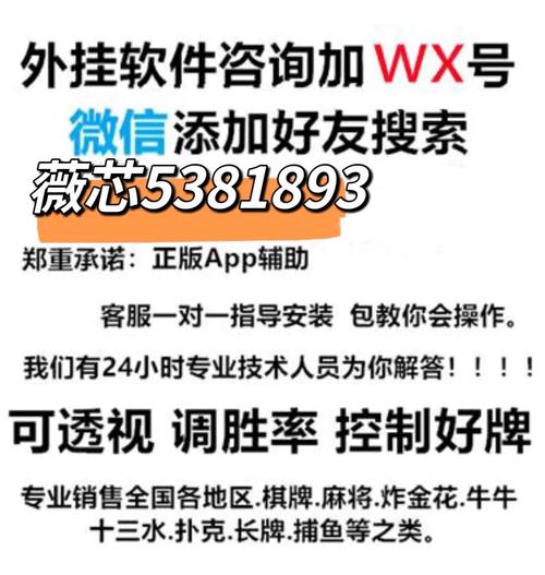 2024重磅来袭“微乐陕西挖坑有挂透视吗”（怎么开挂）-全面升级